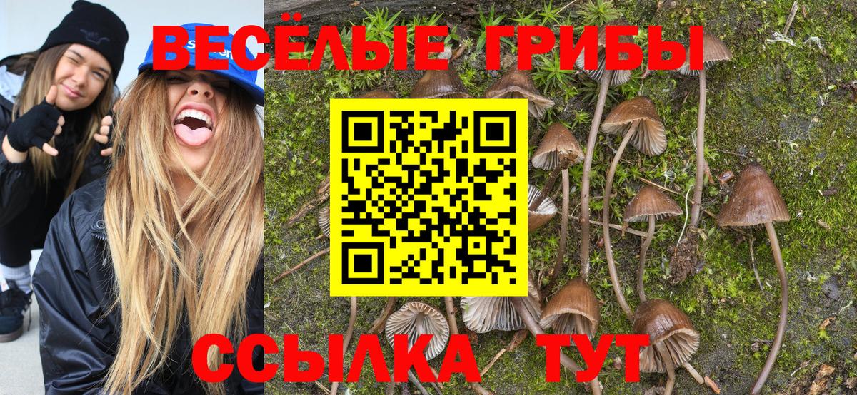 Галлюциногенные грибы Cubensis  Вход с VPN  дарнет шоп  Омск 