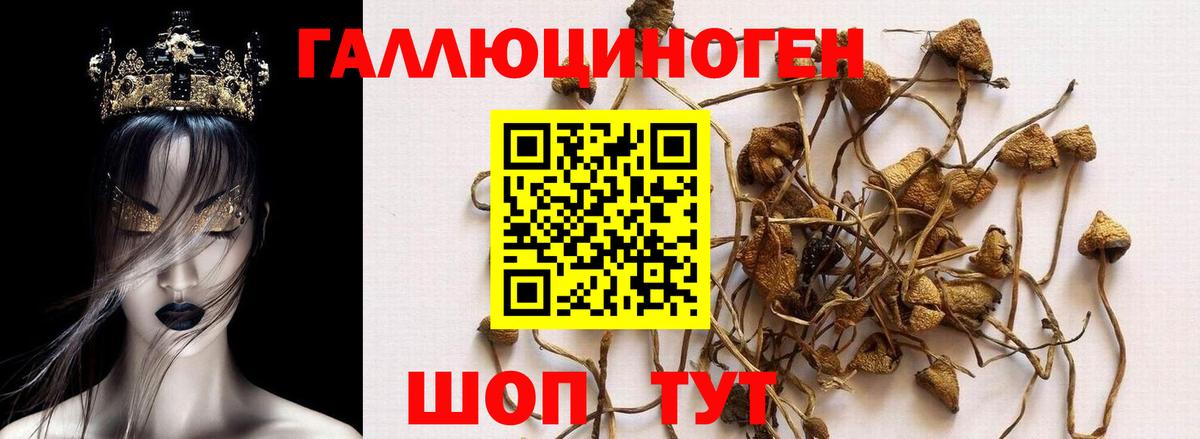 Псилоцибиновые грибы ЛСД Омск